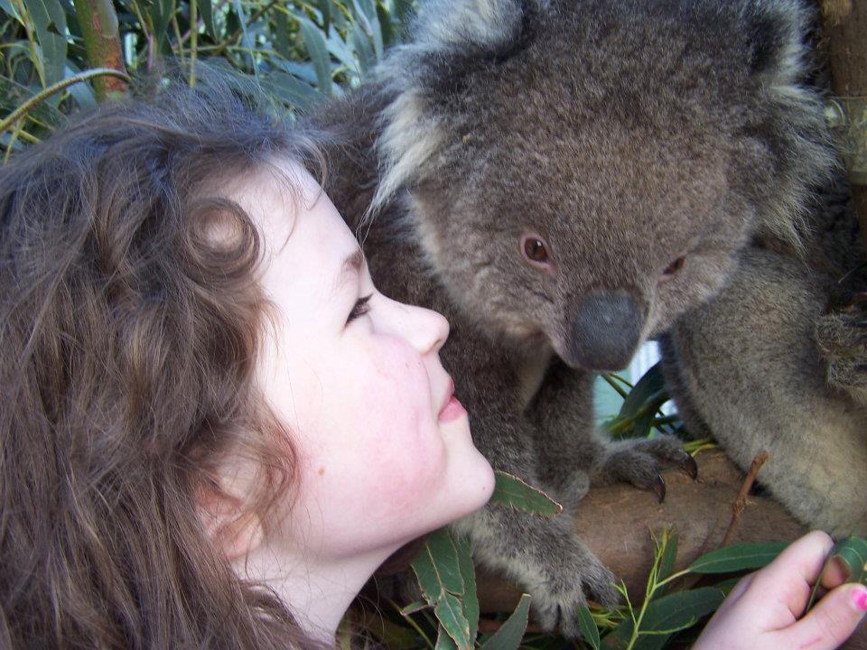 Fauna Australia Wildlife Retreat Lavers Hill Exteriér fotografie