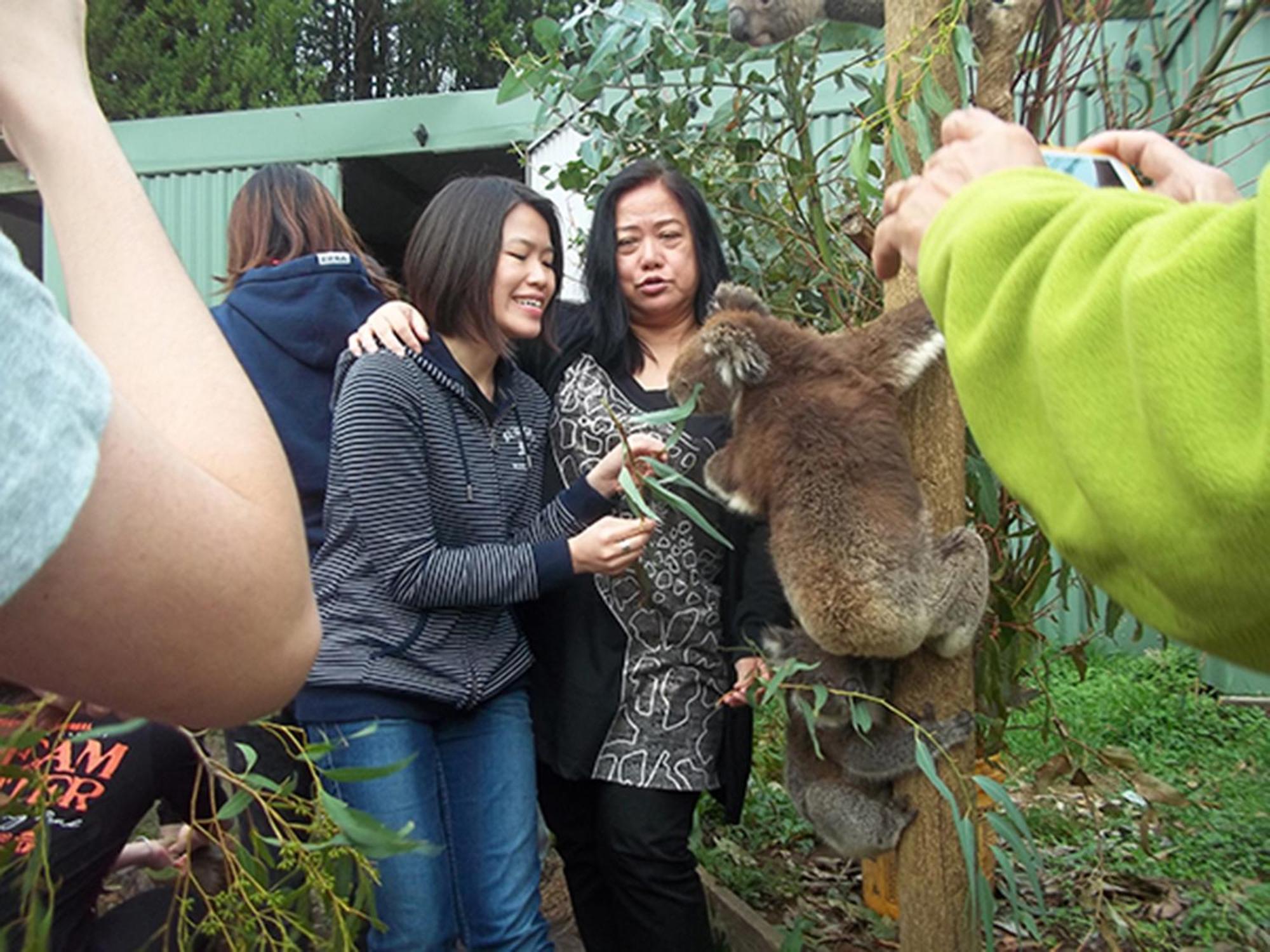 Fauna Australia Wildlife Retreat Lavers Hill Exteriér fotografie