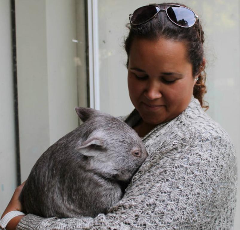 Fauna Australia Wildlife Retreat Lavers Hill Exteriér fotografie