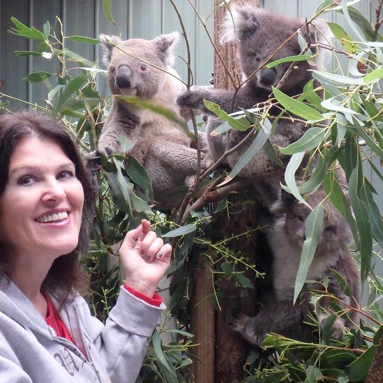 Fauna Australia Wildlife Retreat Lavers Hill Exteriér fotografie