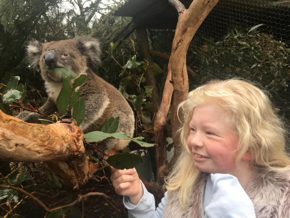 Fauna Australia Wildlife Retreat Lavers Hill Exteriér fotografie